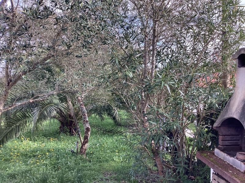 Maison - 40 m² - 2 pièces