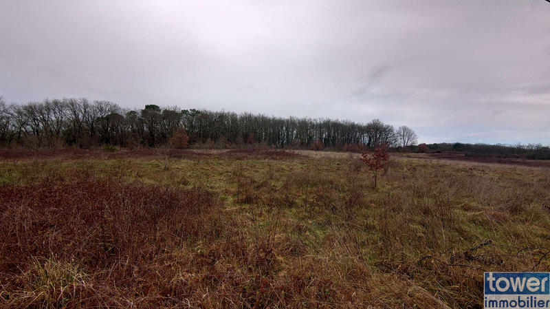 Propriété - 200 m² - 6 pièces