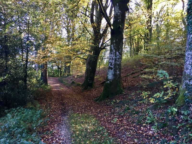 Marche des Trois églises