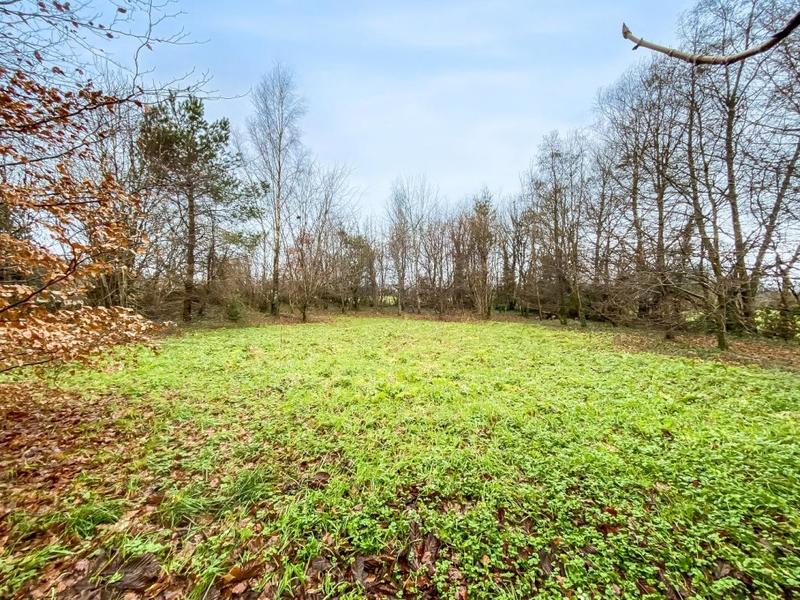 Manoir - 350 m² - 14 pièces