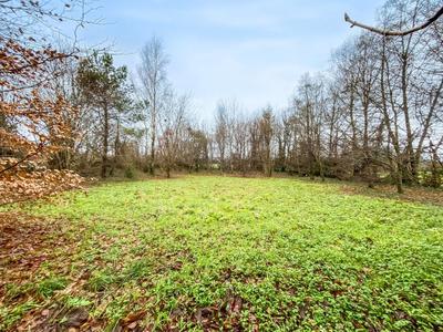 Manoir - 350 m² - 14 pièces