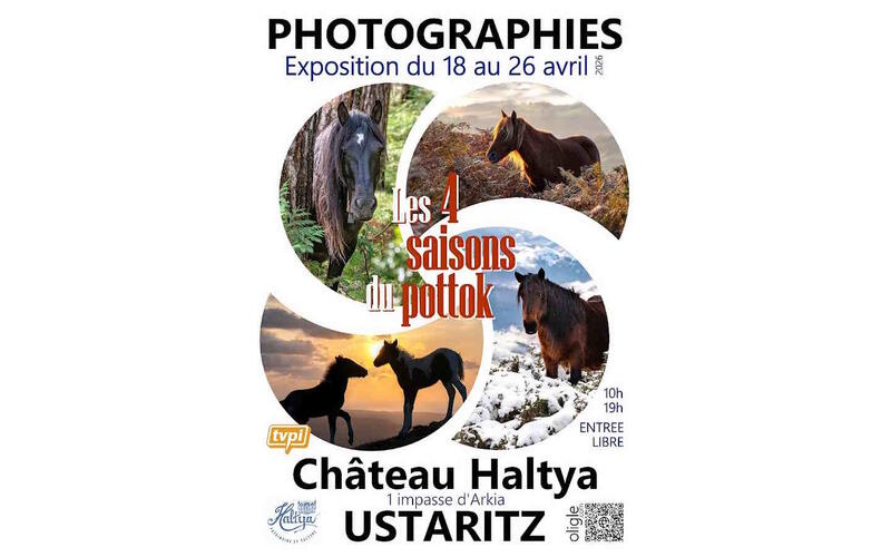Exposition photos : les 4 saisons du Pottok