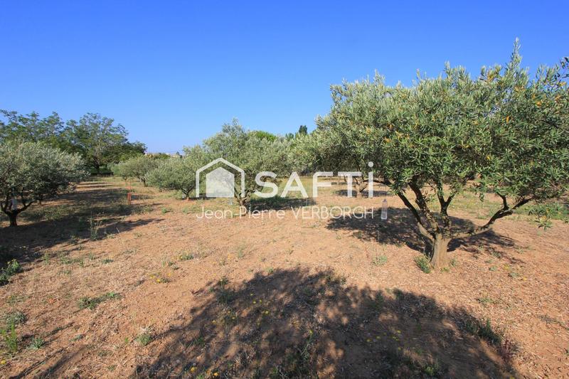 Terrain - 2 860 m²