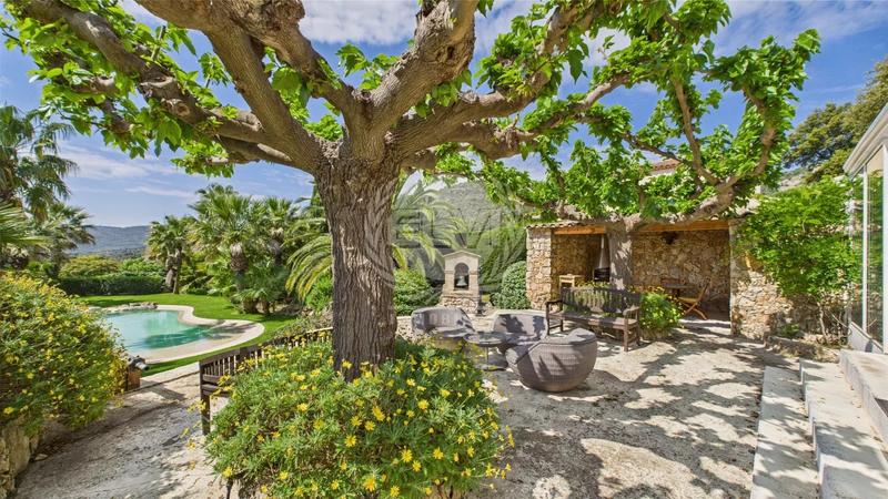 Viager - Maison - 307 m² - 6 pièces