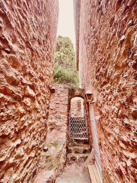 Maison de maîtres - 1 200 m² - 7 pièces