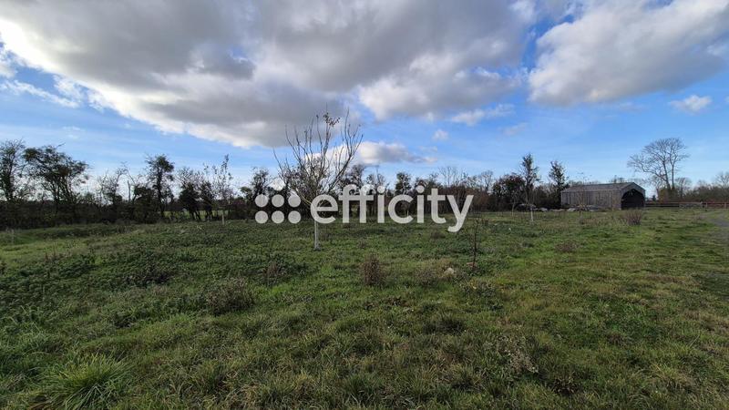 Maison - 40 m² - 2 pièces