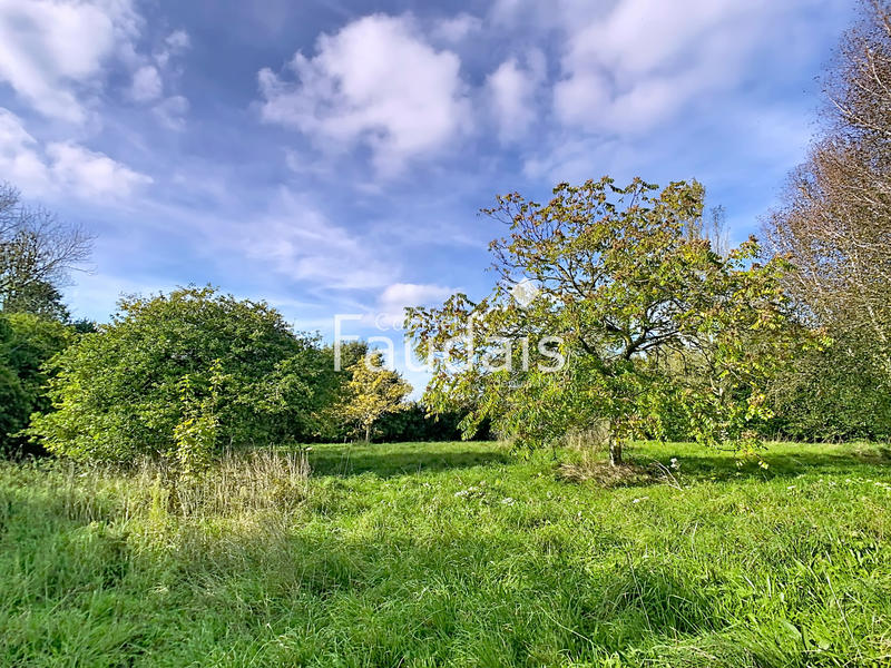 Maison de village - 120 m² - 6 pièces