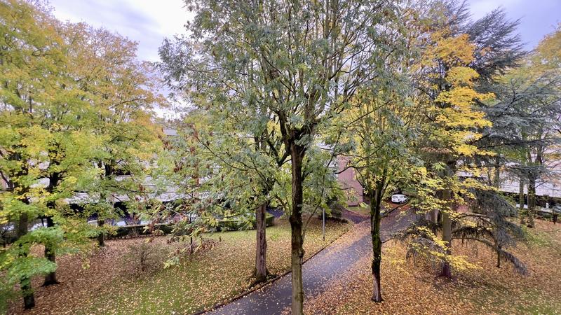 Appartement - 85 m² - 3 pièces