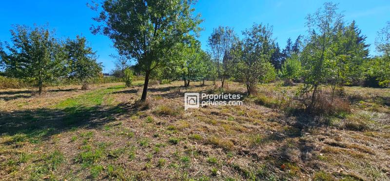 Terrain agricole - 19 599 m²