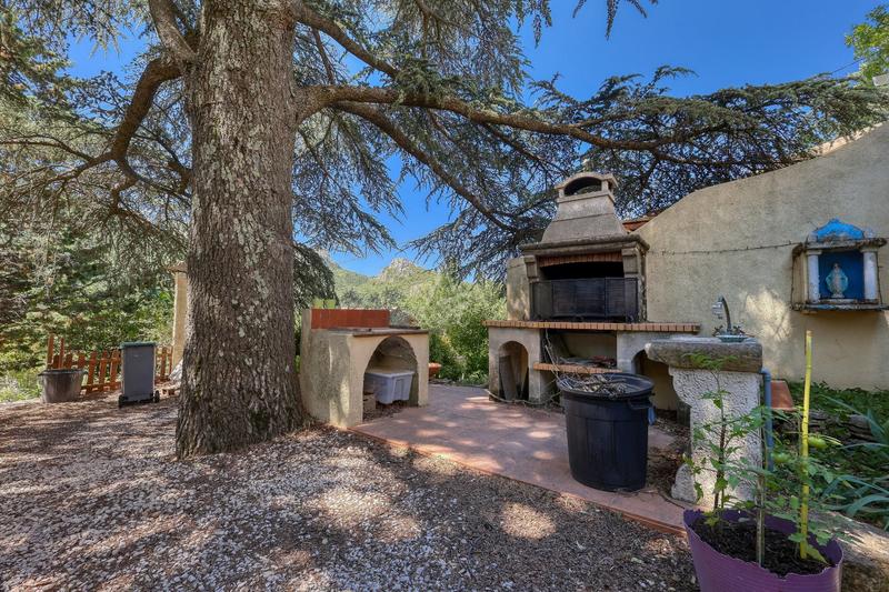 Viager - Maison - 316 m² - 8 pièces