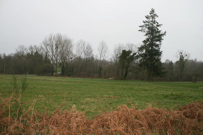 Terrain - 1 450 m²