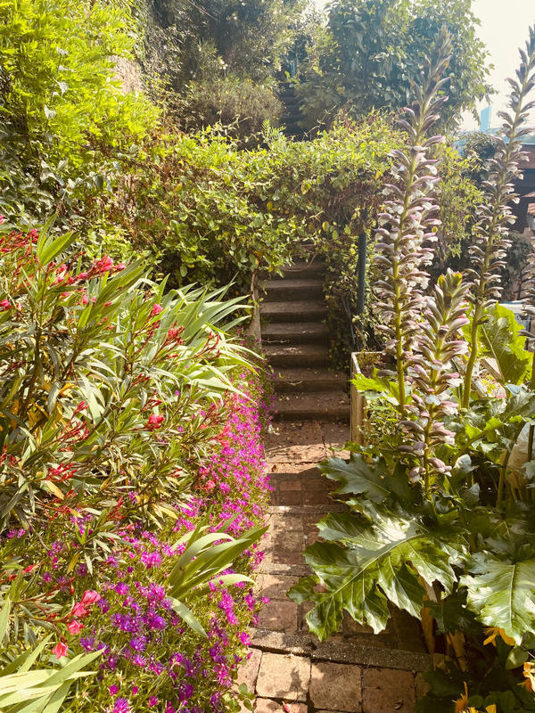 Appartement - 137 m² - 4 pièces