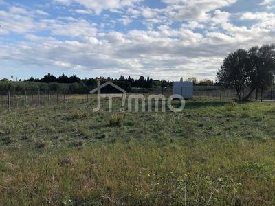 Terrain industriel - 6 686 m²