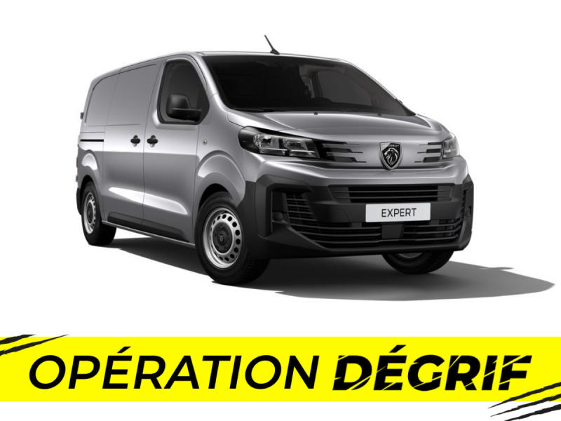 Peugeot Expert Fgn m Bluehdi 145 s&amp;S Eat8