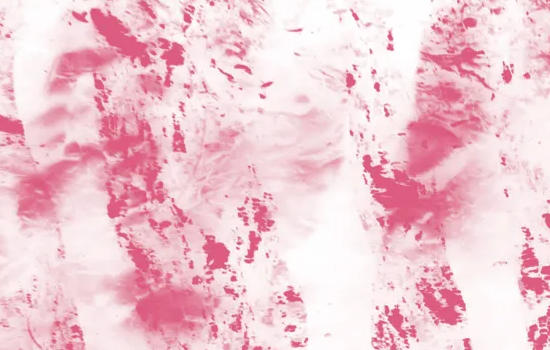 La Criée des Poètes