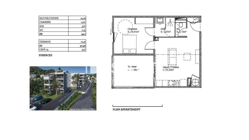 Appartement - 45 m² - 2 pièces