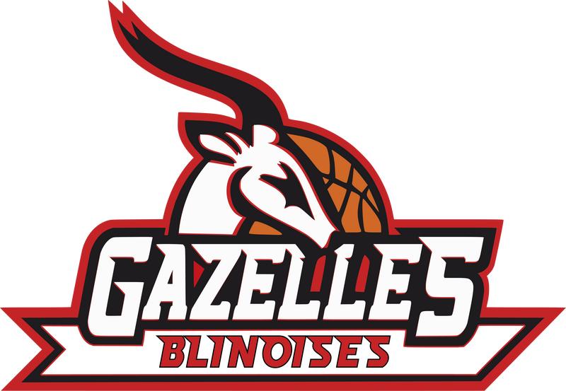 Vide grenier des gazelles blinoises