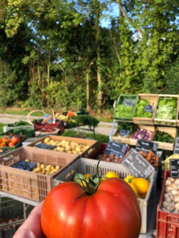 Exposition : au jardin potager