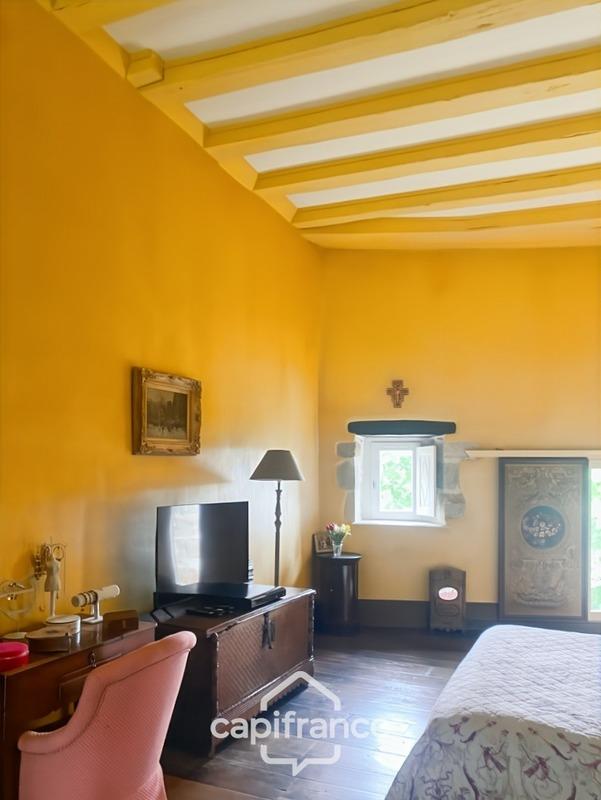 Château - 350 m² - 5 pièces