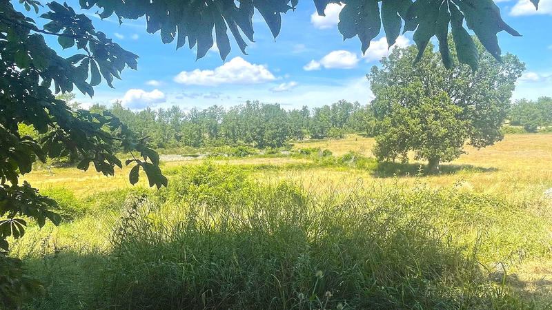 Bastide - 600 m² - 20 pièces