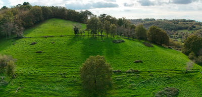 Terrain - 62 315 m²