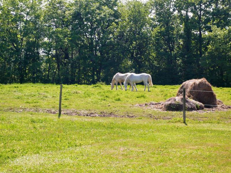 Maison - 174 m² - 5 pièces