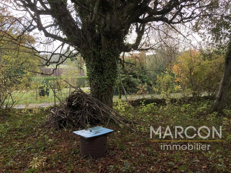 Maison - 25 m² - 1 pièce