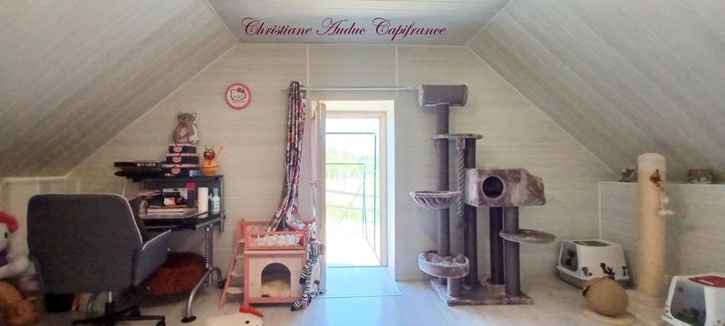 Maison - 128 m² - 5 pièces