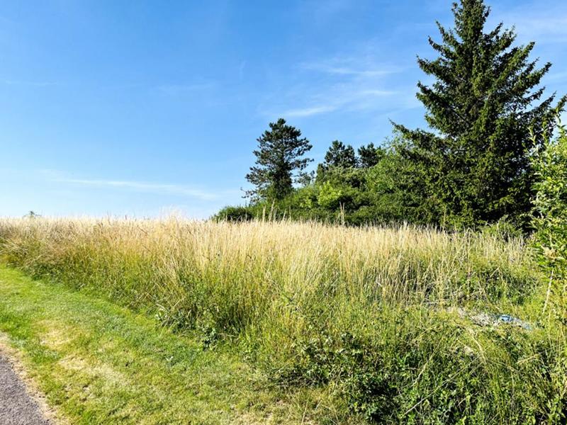 Terrain constructible - 1 420 m²