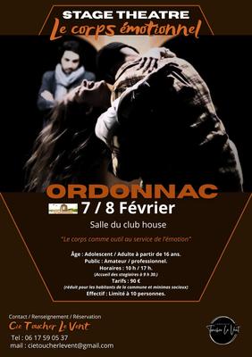 Stage de théâtre : le corps émotionnel