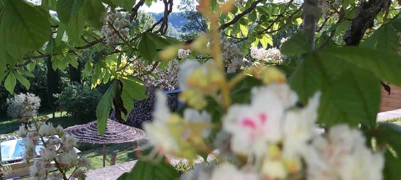 Les Gîtes de Truffes