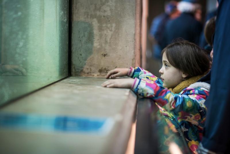 Rendez-vous en famille avec les poissons du Rhin