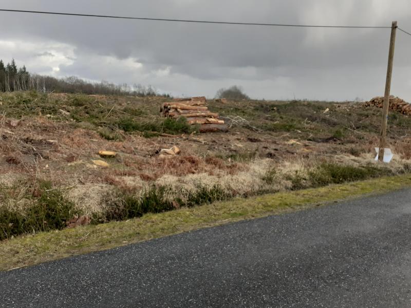 Terrain - 79 390 m²