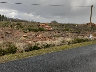 Terrain - 79 390 m²