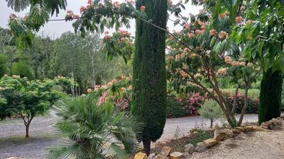 Villa - 284 m² - 6 pièces