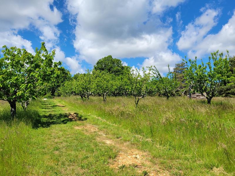 Maison - 500 m² - 17 pièces