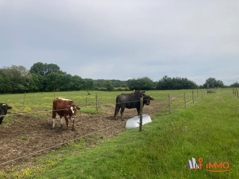 Maison - 299 m² - 12 pièces