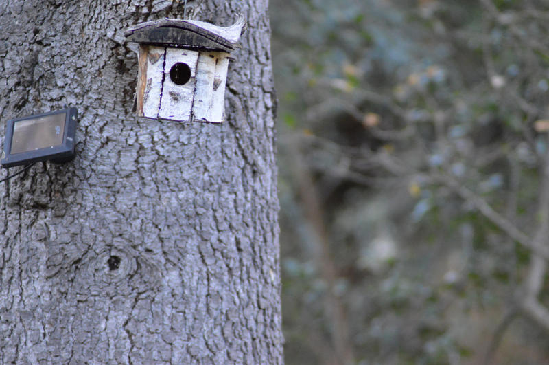 Maison - 127 m² - 5 pièces