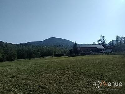 Terrain - 805 m²