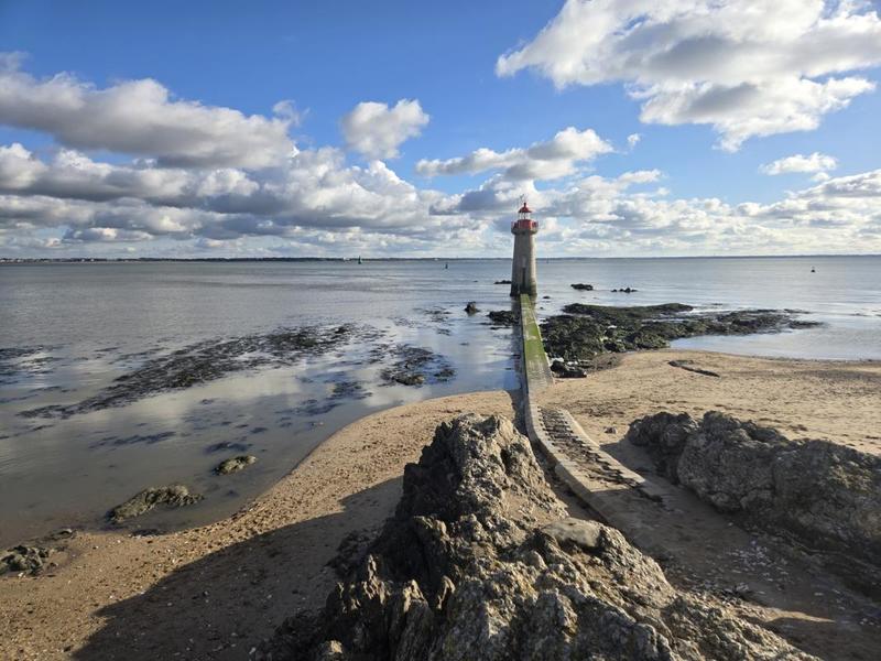 Studio - 29 m² - 1 pièce