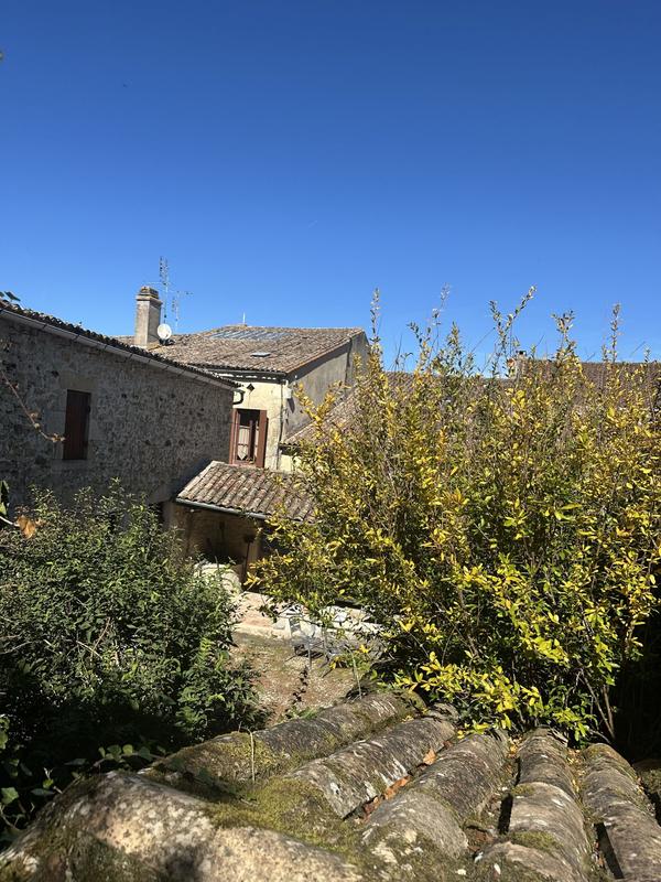 Viager - Maison ancienne - 287 m² - 13 pièces