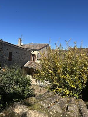 Viager - Maison ancienne - 287 m² - 13 pièces