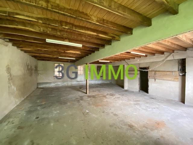 Maison - 500 m² - 12 pièces