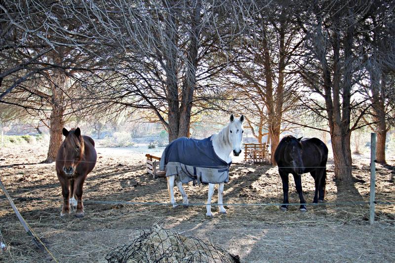 Maison - 227 m² - 6 pièces