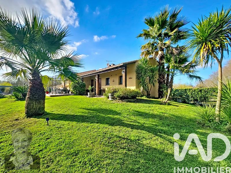 Maison de maîtres - 220 m² - 7 pièces