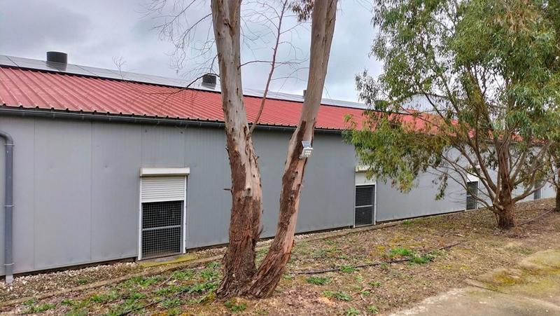 Corps de ferme - 230 m² - 5 pièces