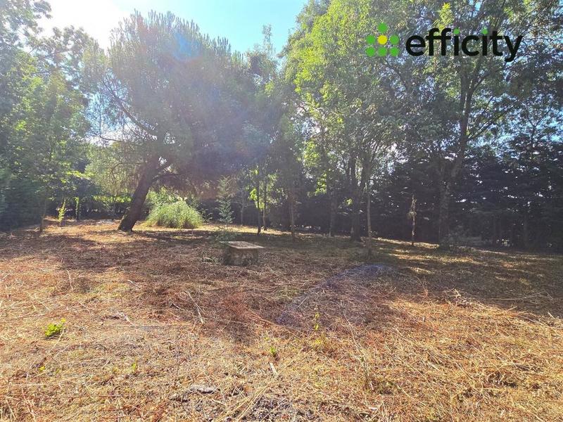 Pavillon - 75 m² - 2 pièces