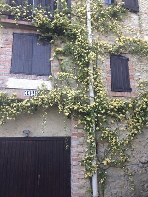 Maison - 130 m² - 4 pièces