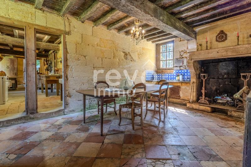 Château - 650 m² - 20 pièces