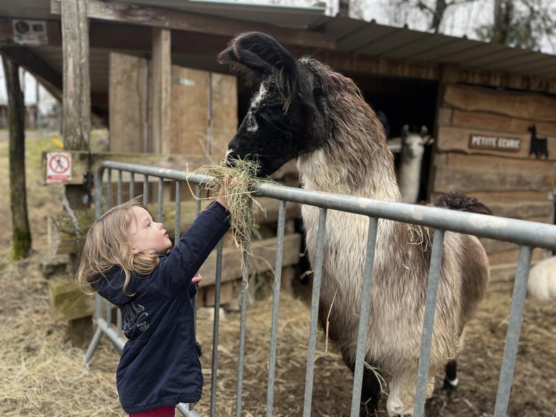 Chasse aux Trésors de Printemps